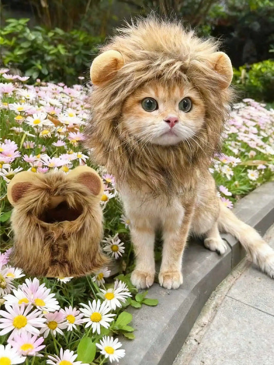 New Cute Funny Pets Clothes Cap Cute Cat Wig - MyPetDollar.com