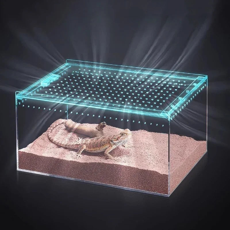 Acrylic Reptile Feeding Cage Horned Frog - MyPetDollar.com