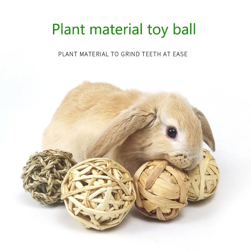 4/5pcs Chewing Braided Ball Guinea Pig - MyPetDollar.com