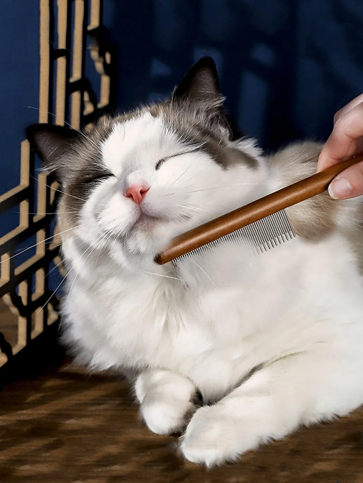 Cat Brush Remove Hair Pet Hair Removal Comb - MyPetDollar.com