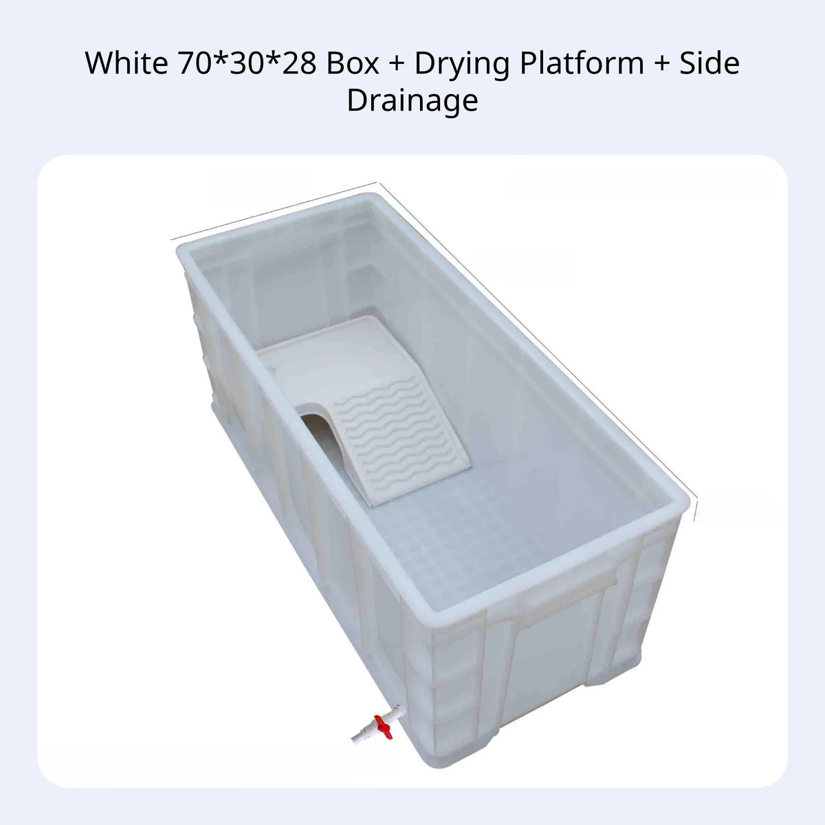 Rectangular Turtle Habitat with Drain Narrow Tank for Reptiles