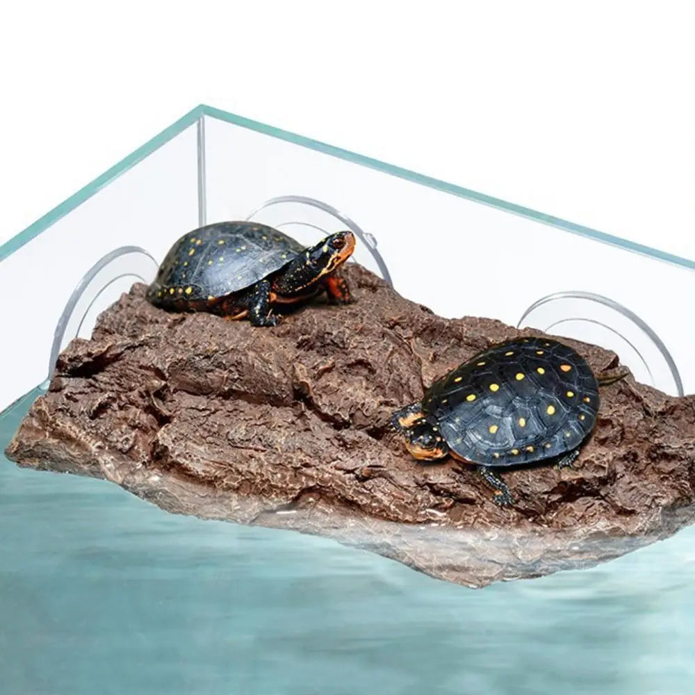 Simulation Rock Turtle Drying Platform Tree - MyPetDollar.com