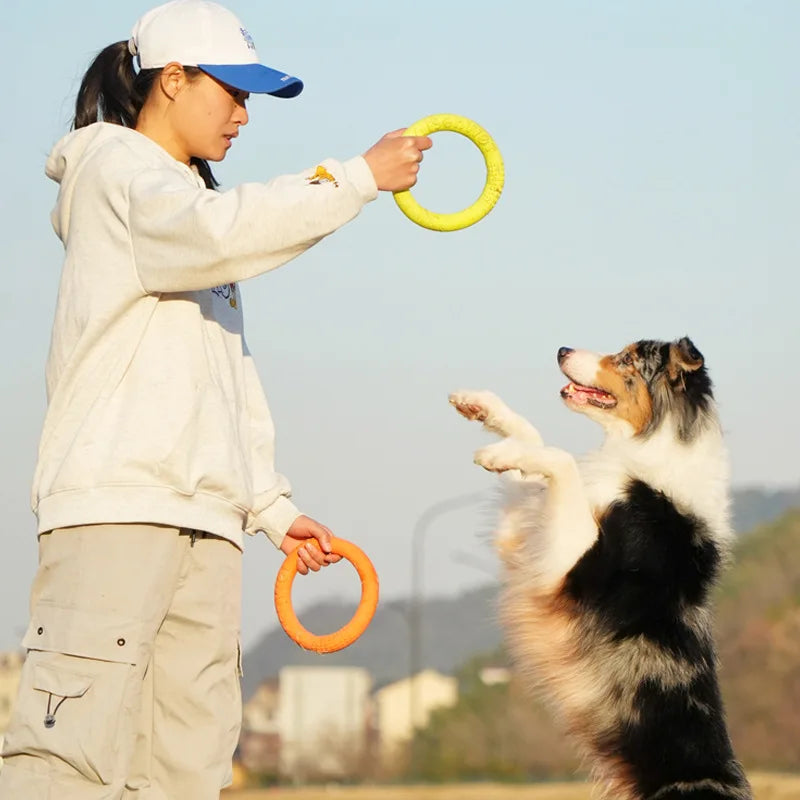 EVA Dog Flying Disc Waterproof Floating - MyPetDollar.com