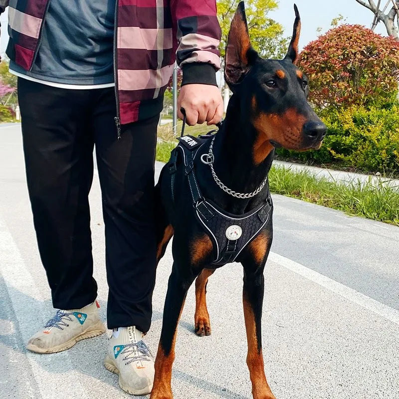 Doberman Dog Harness Collar Leash Set - MyPetDollar.com