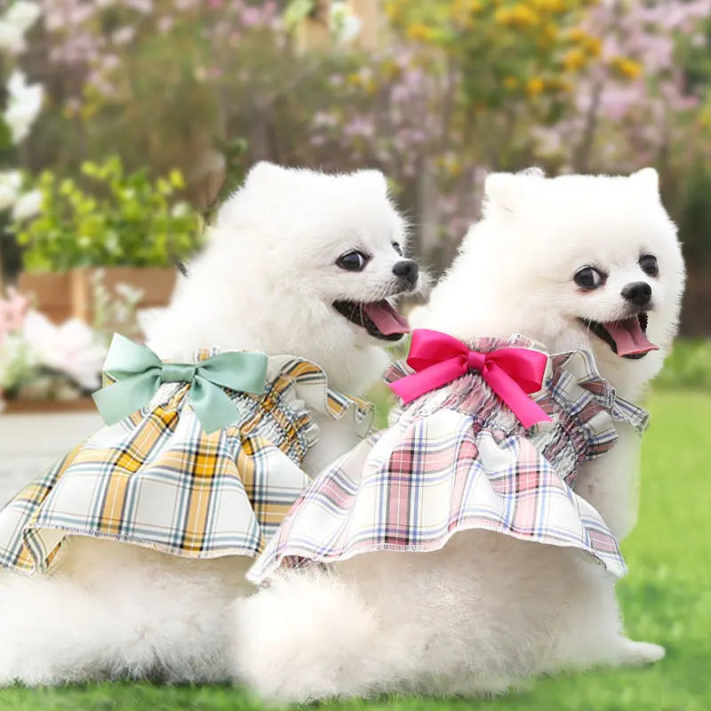 Checkered Dog Dress, Dog Cat, Small and - MyPetDollar.com
