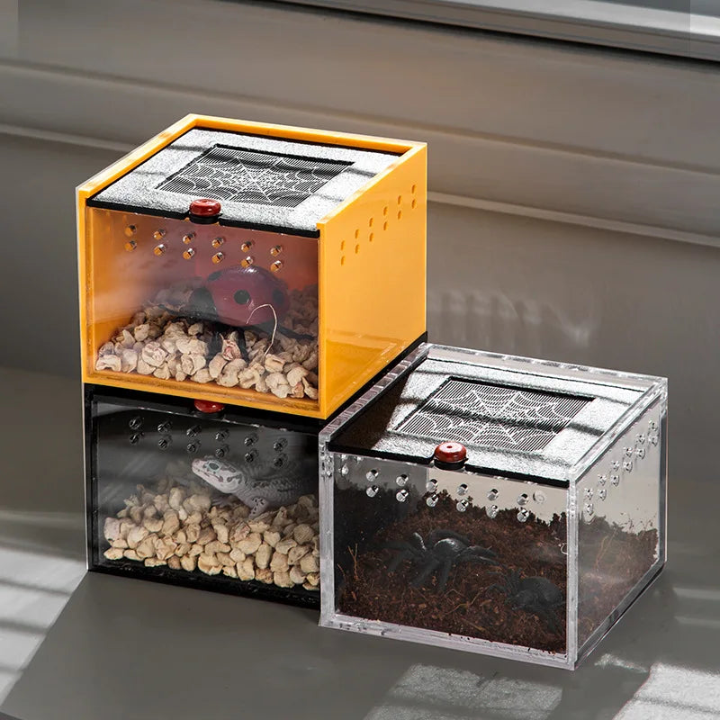 Reptile Crawling Pet Feeding Lizard Pet - MyPetDollar.com
