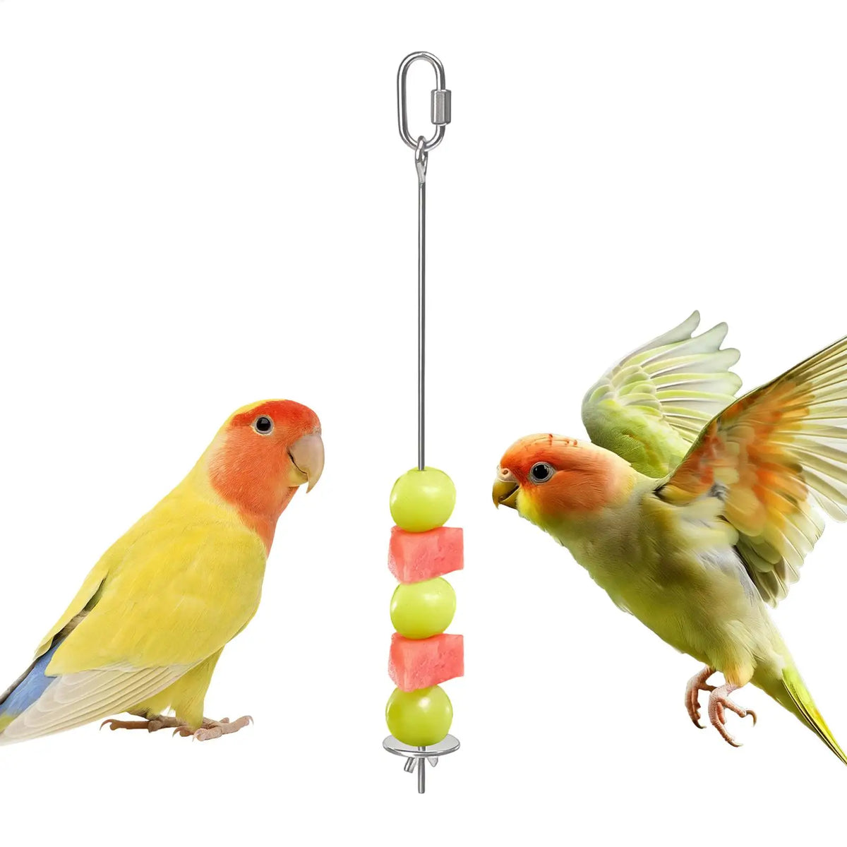 1pc Bird Toy Skewer Fruit Spear Hanging - MyPetDollar.com