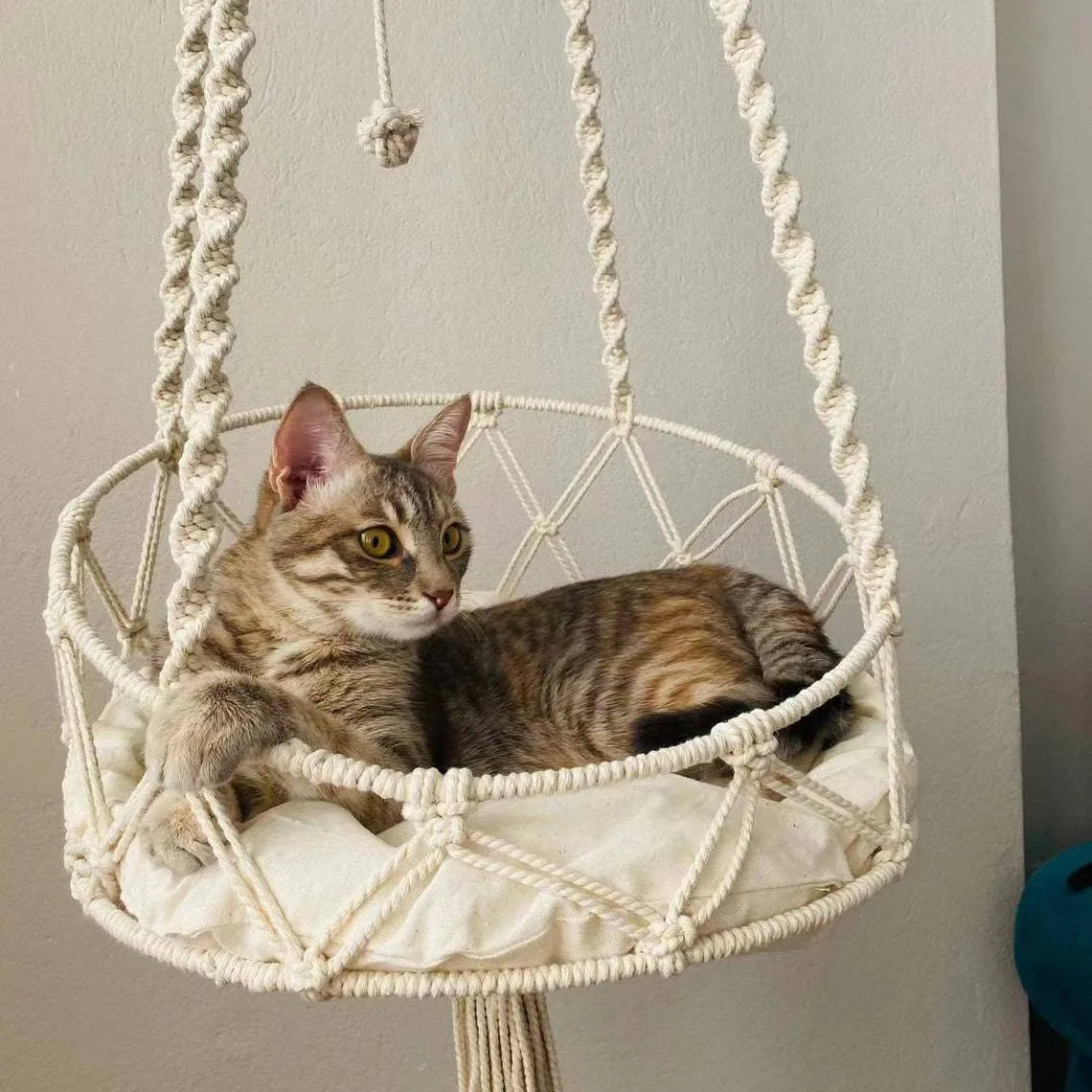Handmade Woven Cat Hanging Basket Pet - MyPetDollar.com