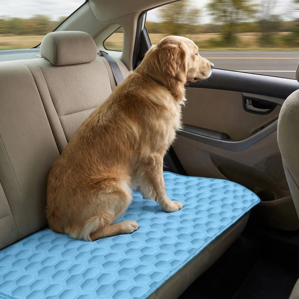 Summer Pet Cooling Mat Upgraded Ice Cooling - MyPetDollar.com