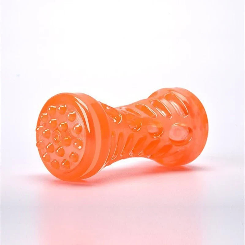Interactive Dog Chew Toy