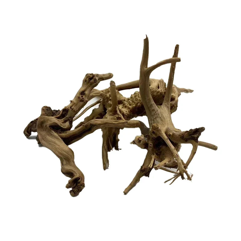 Natural Tree Trunk Driftwood Aquarium Fish - MyPetDollar.com