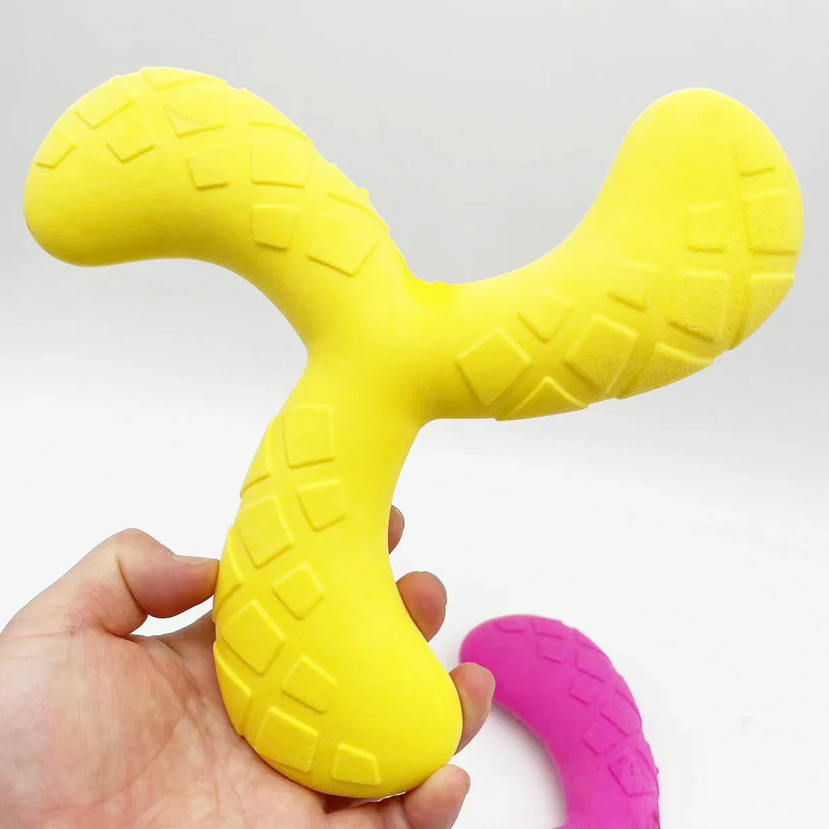Fun Pet Toy Water Floating Triangle Boomerang