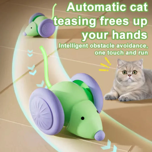 Rechargeable Interactive Electric Mouse Car - MyPetDollar.com