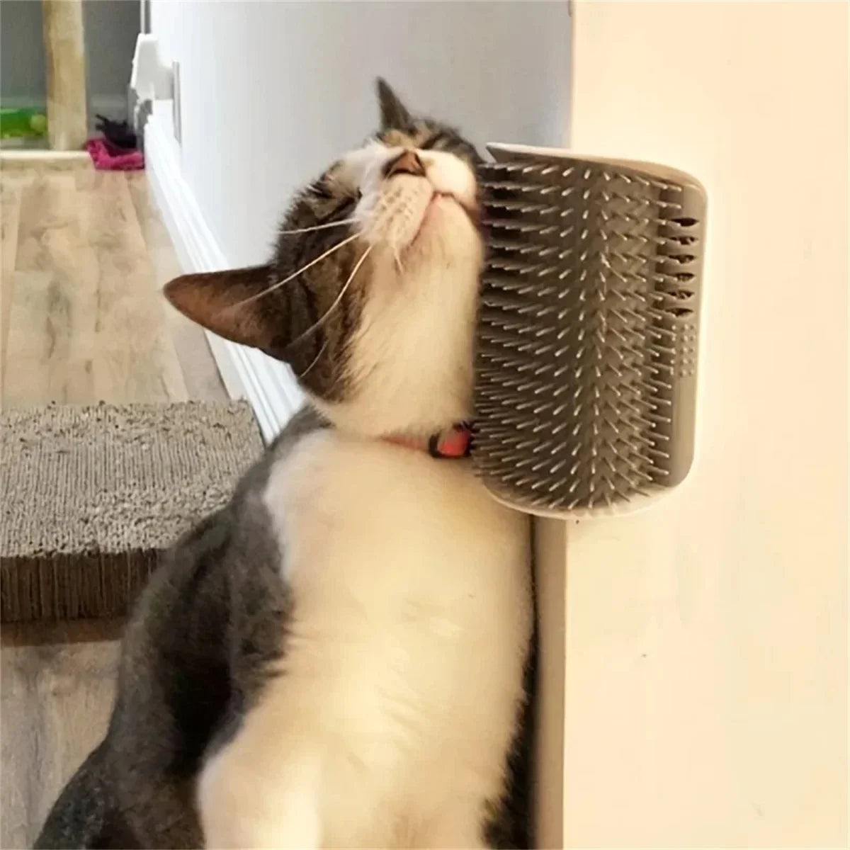 Cat Scratcher Massager for Cats Scratching - MyPetDollar.com