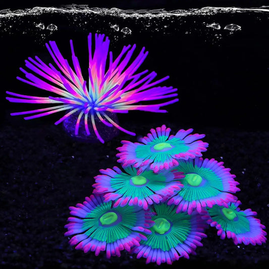 Silicone Glowing Effect Aquarium Fish Tank - MyPetDollar.com
