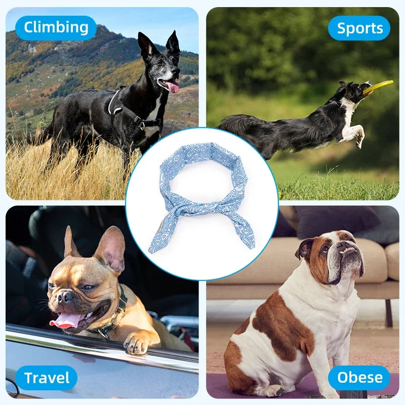 Pet Cooling Gel Neck Band Ice Collar for - MyPetDollar.com