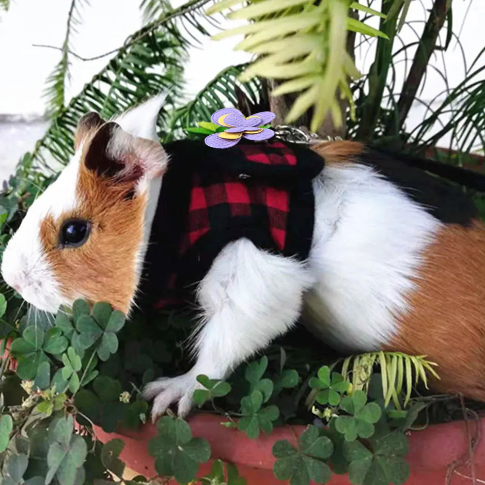 Small Pet Two-legged Chest Strap Outdoor - MyPetDollar.com