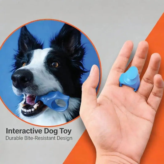 Cat Dog Finger Teeth Cleaning Brush - MyPetDollar.com