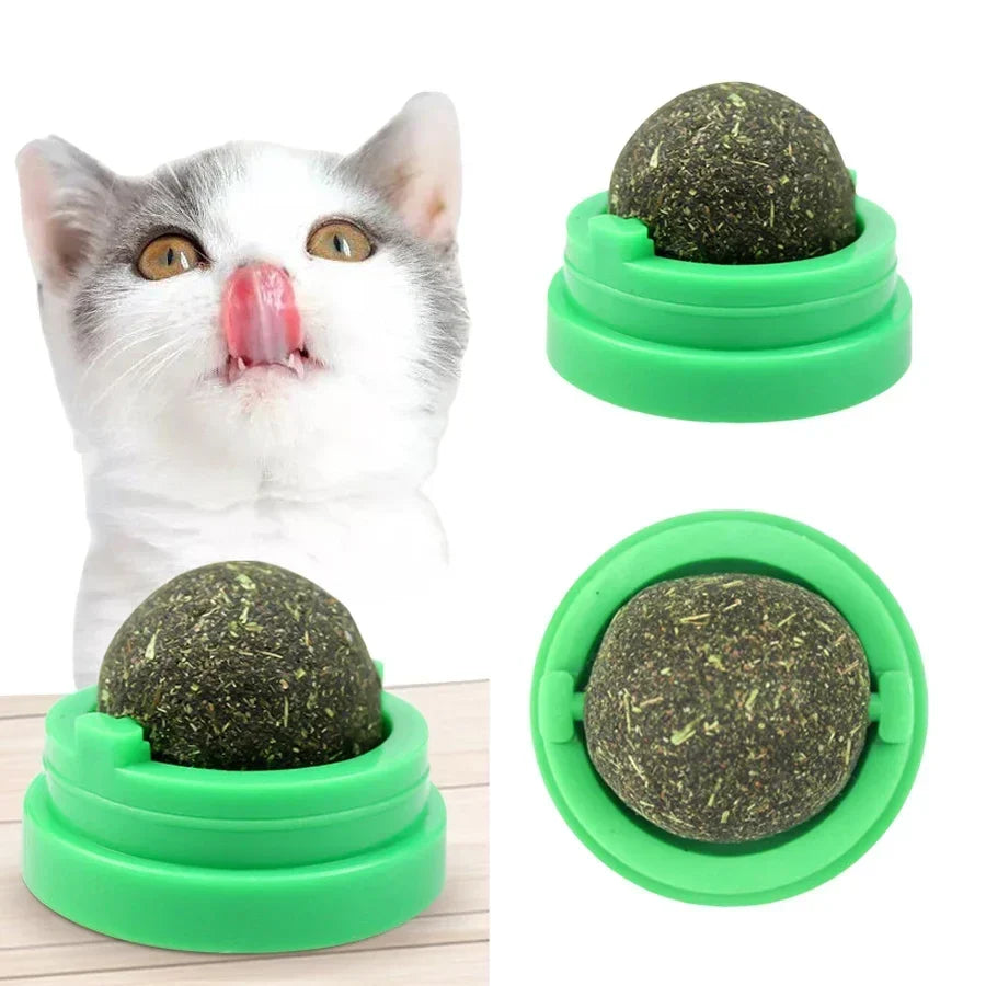 Catnip Cat Wall Sticky Ball Toy Natural Cat - MyPetDollar.com