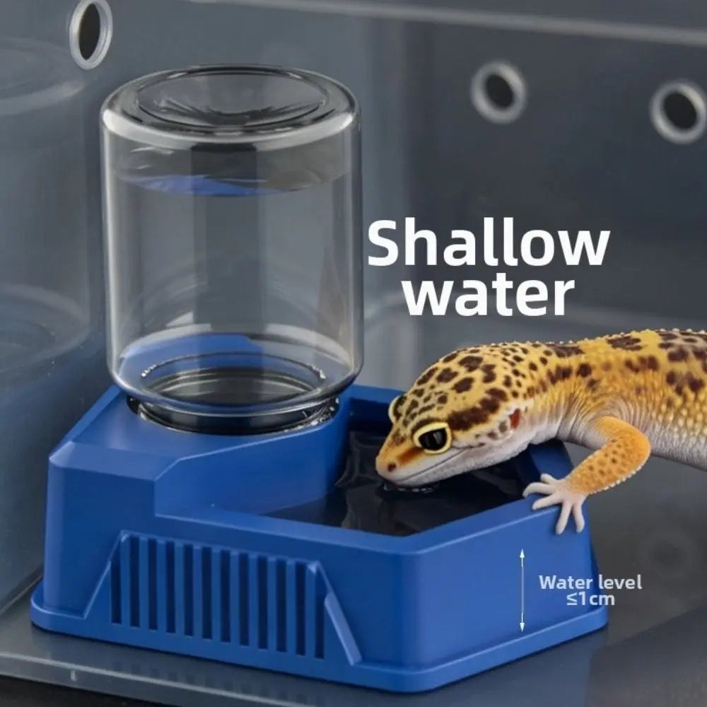 New Automatic Reptile Water Dish Multi-size - MyPetDollar.com