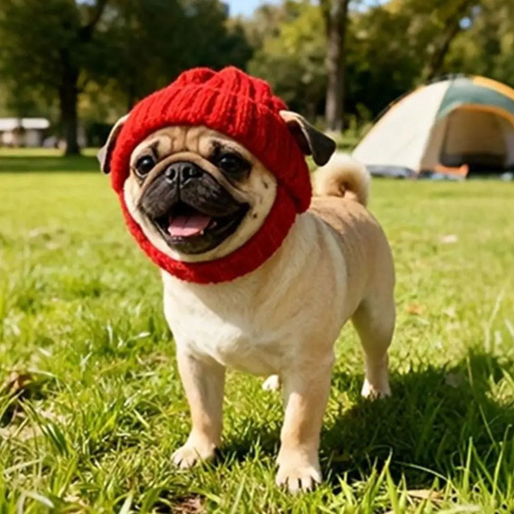 Pet Cat Hat Cute Cold Weather Windproof - MyPetDollar.com
