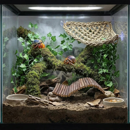 Terrarium Habitat Accessories Hermit Crab - MyPetDollar.com