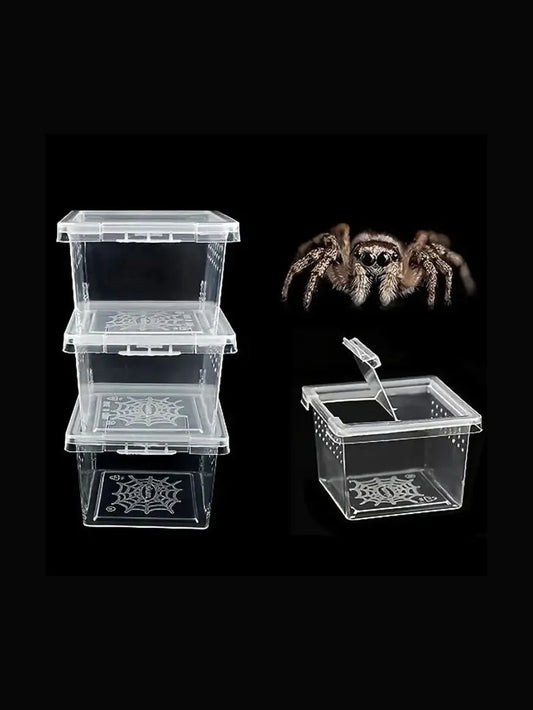 5 Pcs Insect Reptile Spider Hatching - MyPetDollar.com