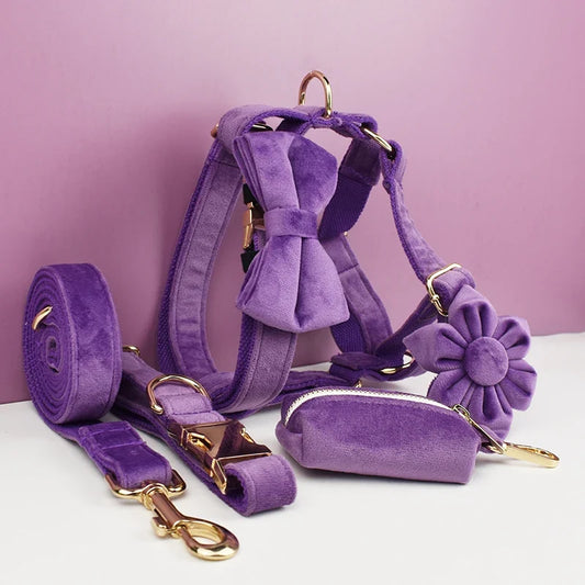 Purple Velvet Dog Collar And Leash Set For - MyPetDollar.com