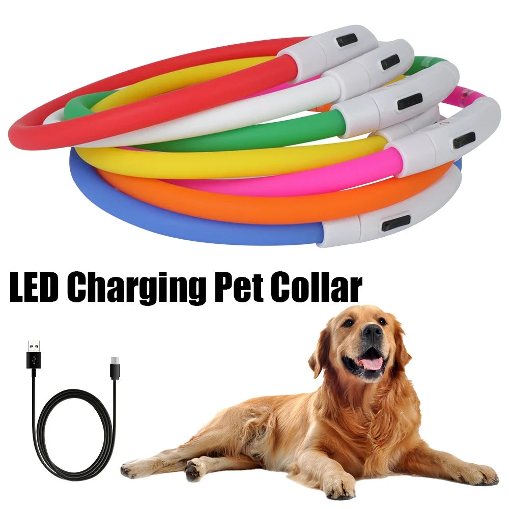 Dog Loss Prevention Led Usb Dog Collar Pet - MyPetDollar.com