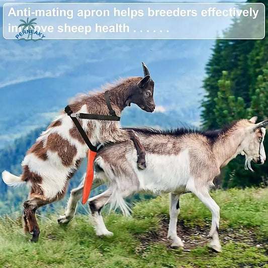 Adjustable Strap Goats Anti Breeding Apron - MyPetDollar.com