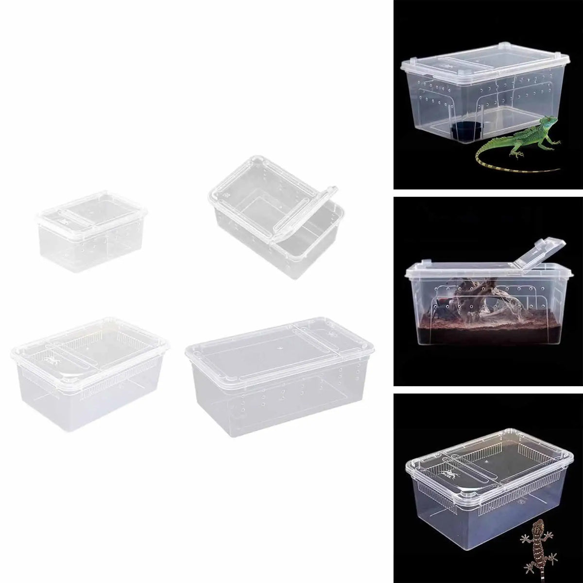 Transparent Reptile Feeding Box Portable - MyPetDollar.com