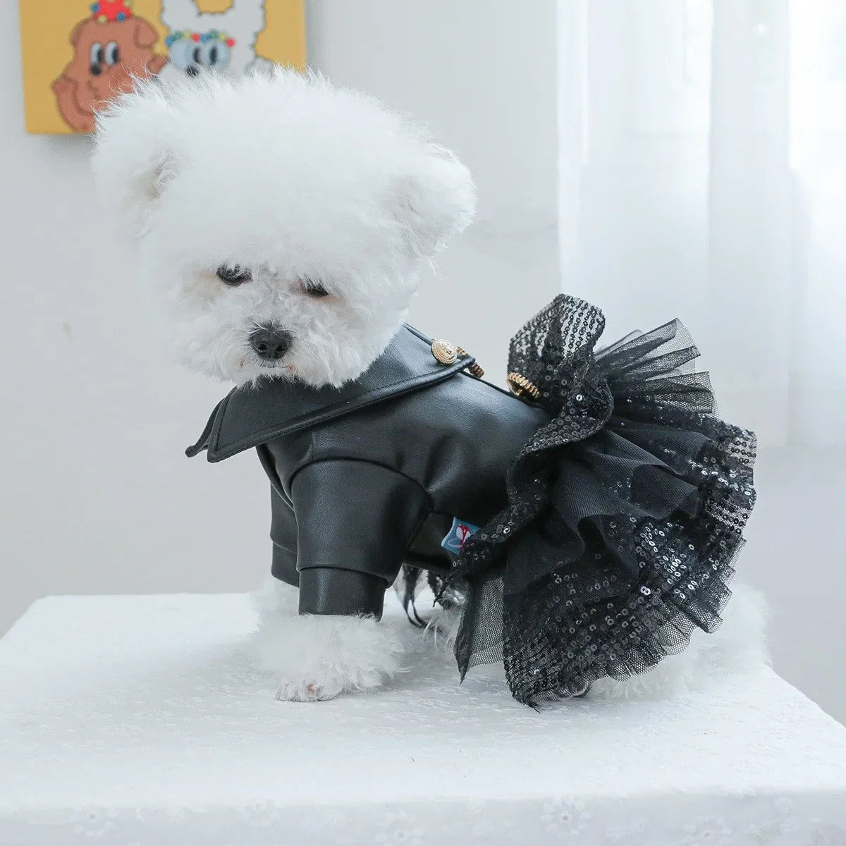 Punk Sequins Pet Dog Girl Dresses Black - MyPetDollar.com