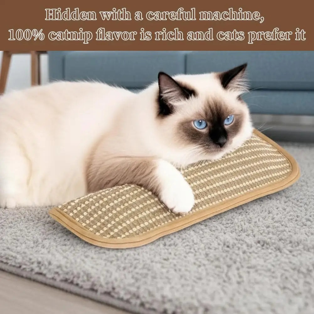 Catnip Pillow Cat Interactive Toys Indoor - MyPetDollar.com
