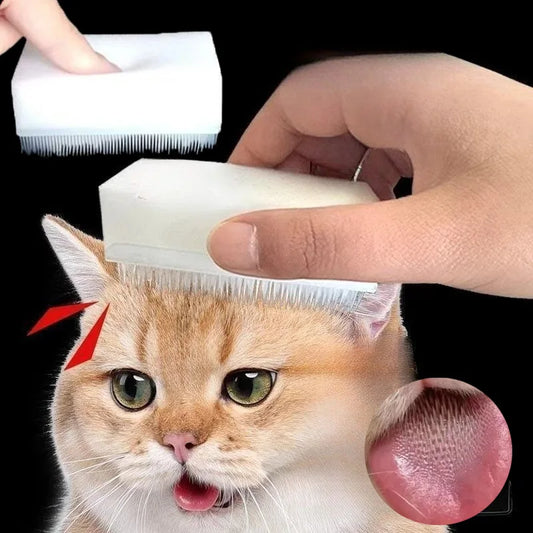 Cat Massage Brush Tongue Sensory Cleaning - MyPetDollar.com