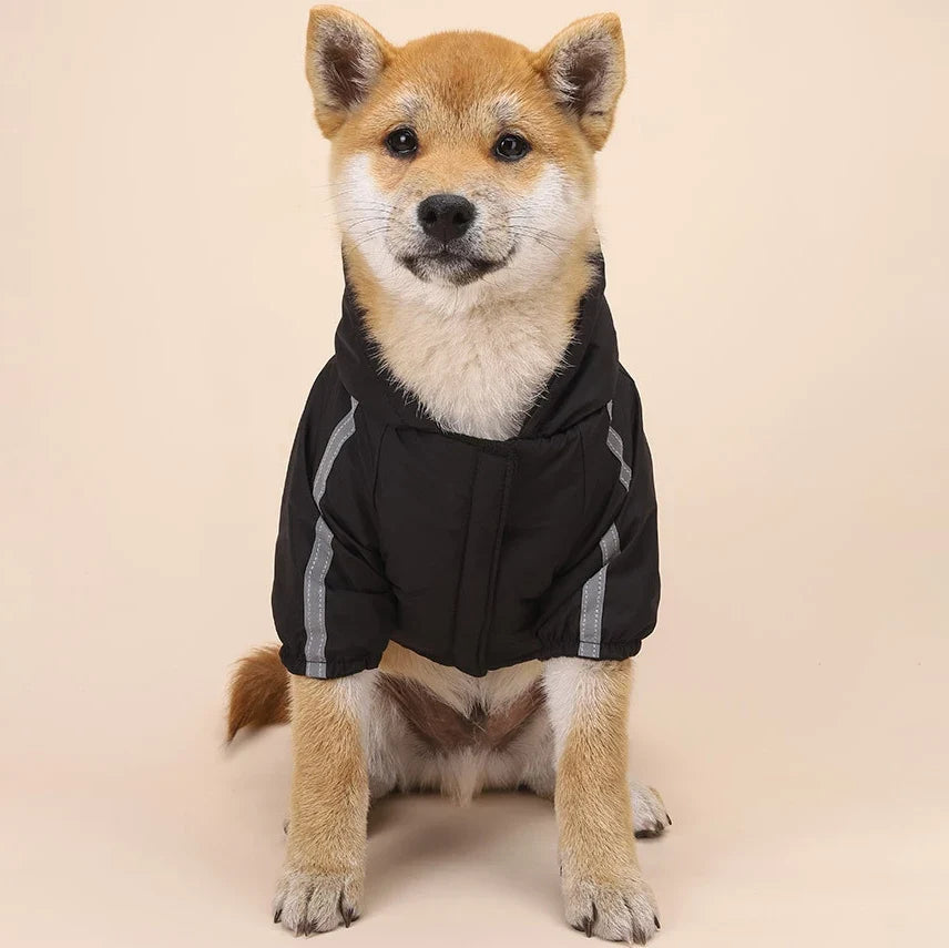 Autumn Winter Pet Dog Waterproof Coat Puppy - MyPetDollar.com