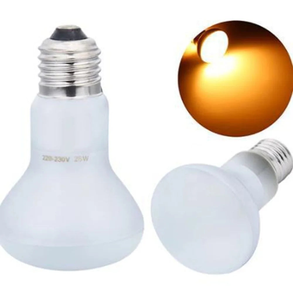 Night Light UVA Led Pet Heating Lamp - MyPetDollar.com