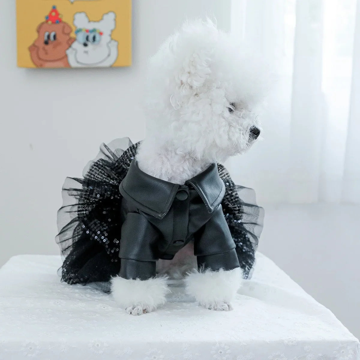 Punk Sequins Pet Dog Girl Dresses Black - MyPetDollar.com