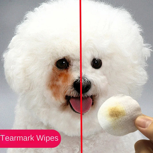 Ins Cat Clean Dogs Tear Stain Remover Pet - MyPetDollar.com