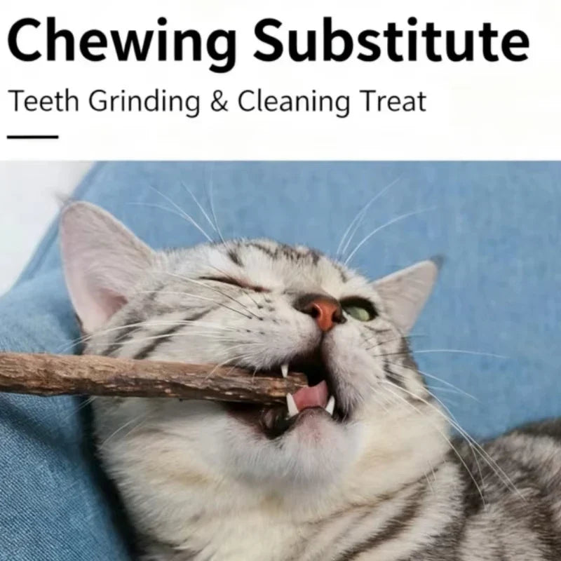 Natural Silver Vine Chew Sticks Catnip Molar - MyPetDollar.com