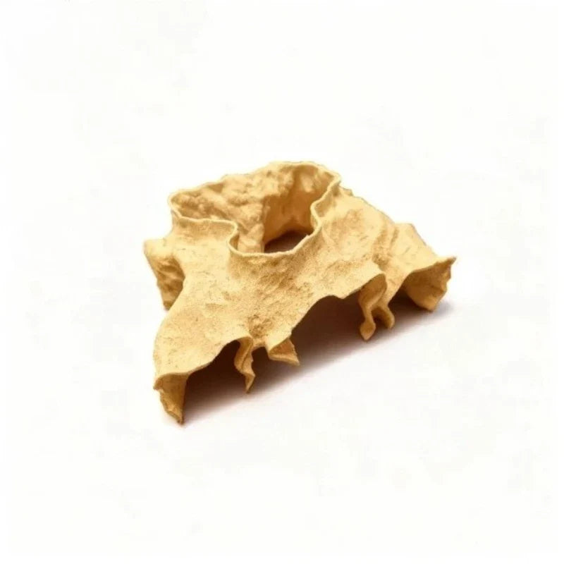 Fish Hiding House Aquascape Ornament - 3D - MyPetDollar.com