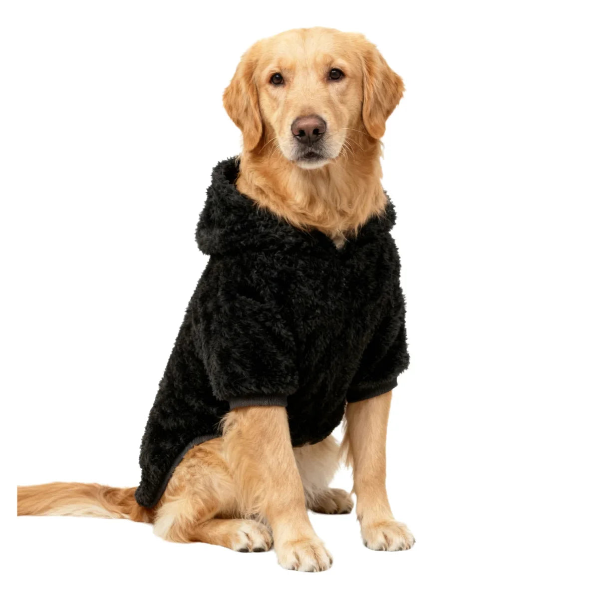 Labrador Golden Retriever Clothing Winter - MyPetDollar.com