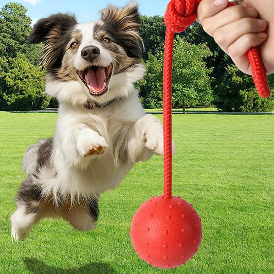 Rubber Ball with Rope Pet Teeth - MyPetDollar.com