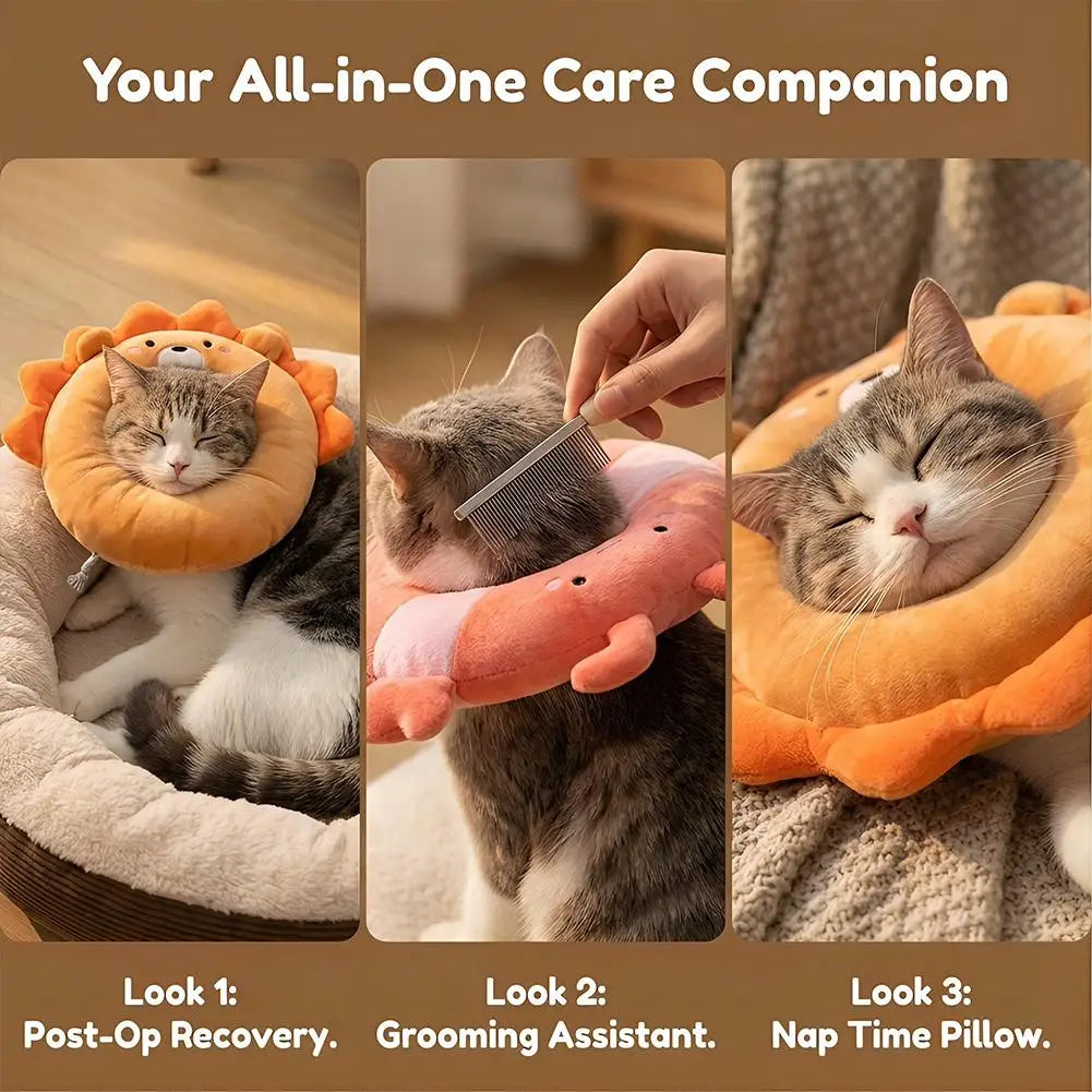 Cute Pet Cat Elizabethan Collar Dog Cat - MyPetDollar.com