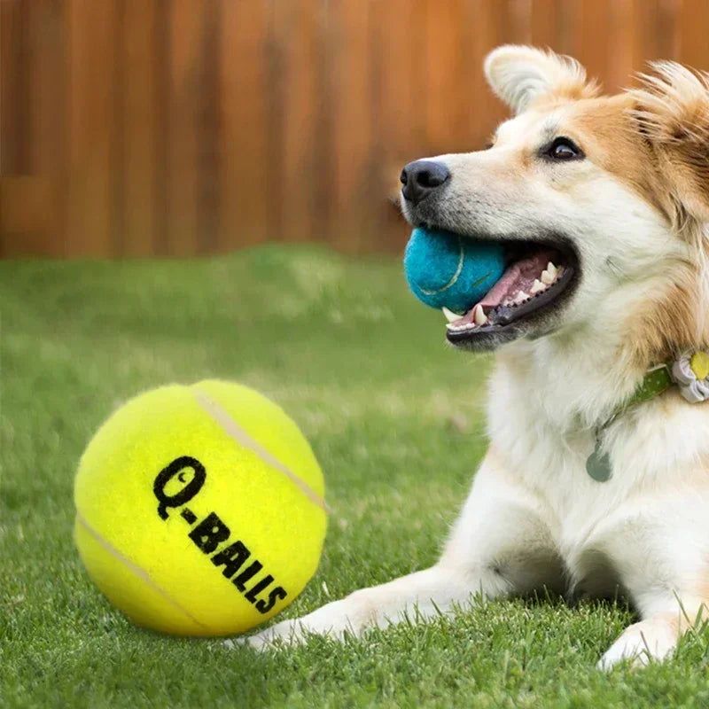 Dog Toy Set Q-MONSTER Thick Walled Natural - MyPetDollar.com