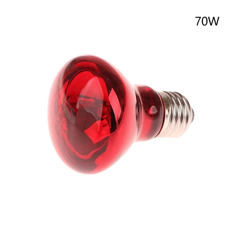 25 40 50 60 75 100w E27 UVA Poultry Bulb Infrared Night Light – 6 Colors