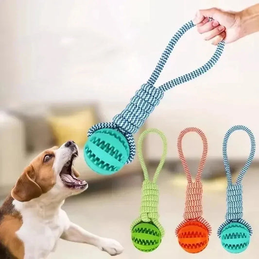 Dog Toys Balls Interactive Treat Rope Rubber - MyPetDollar.com