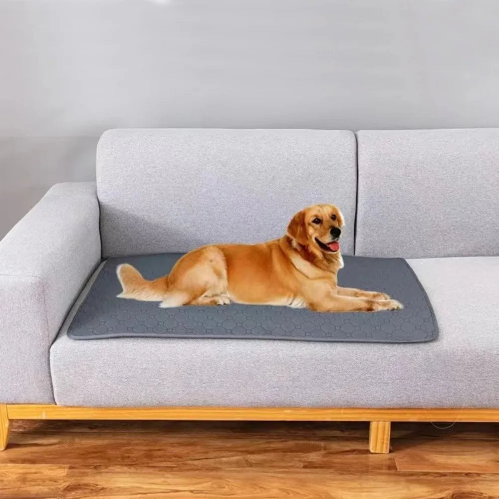 Pet Supplies Washable Dog Pee Pad Reusable - MyPetDollar.com