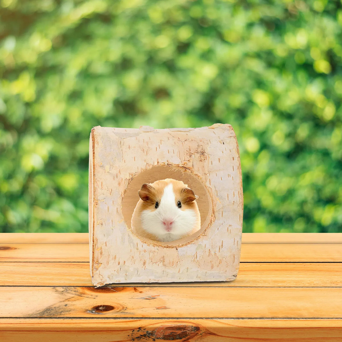 Wooden Hamster Hideout Tunnel for Small Pets - MyPetDollar.com
