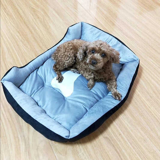 Non-slip Pet Bone Bed for Small Medium Large - MyPetDollar.com