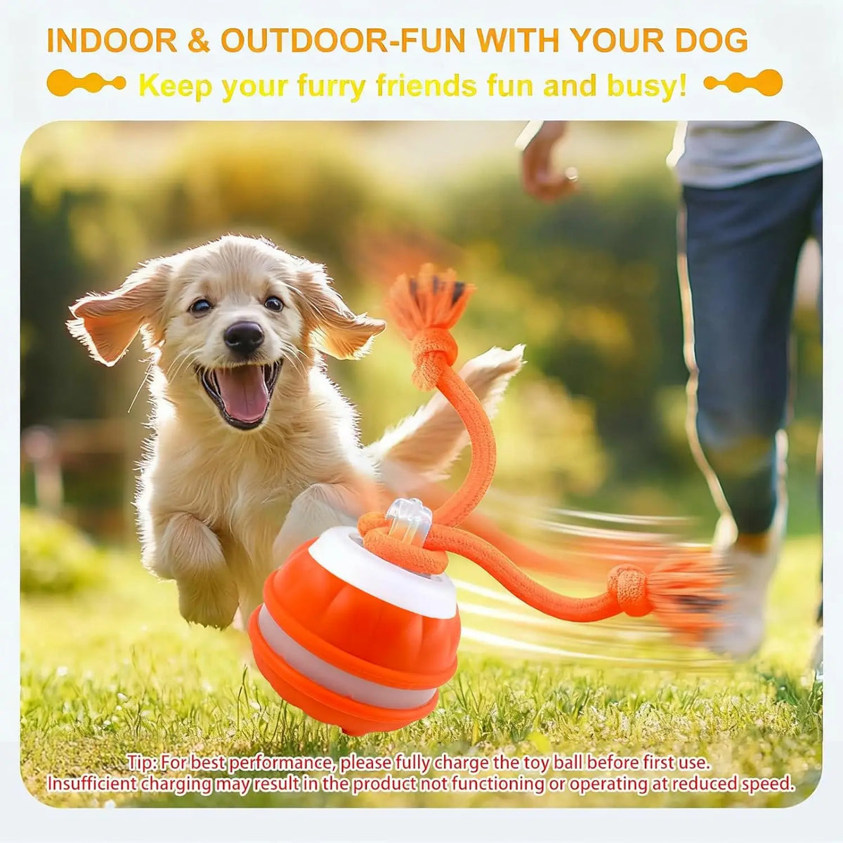 Interactive Dog Toy Ball with Rope - MyPetDollar.com